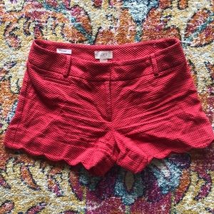 LOFT Riviera Short with scalloped hem